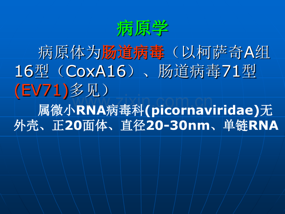 手足口病诊疗指南版.pptx_第2页