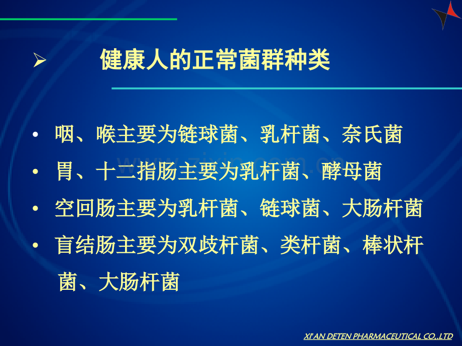 微生态调节剂的临床应用乳酸菌素片.pptx_第2页