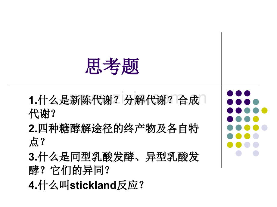 微生物的新陈代谢23.pptx_第1页