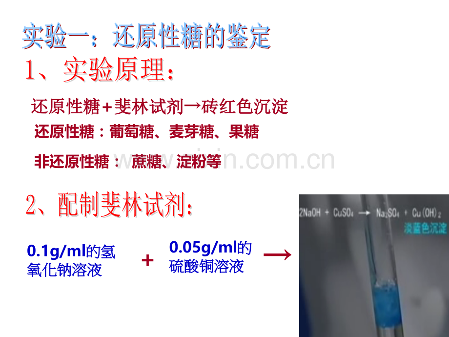 实验二必修一第18页检测生物组织中的糖类脂肪和蛋白质--副本.pptx_第2页