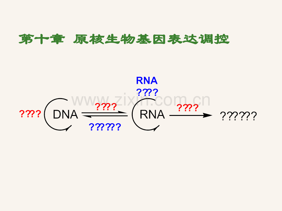 分子生物学4原核生物基因表达调控6课时.pptx_第1页