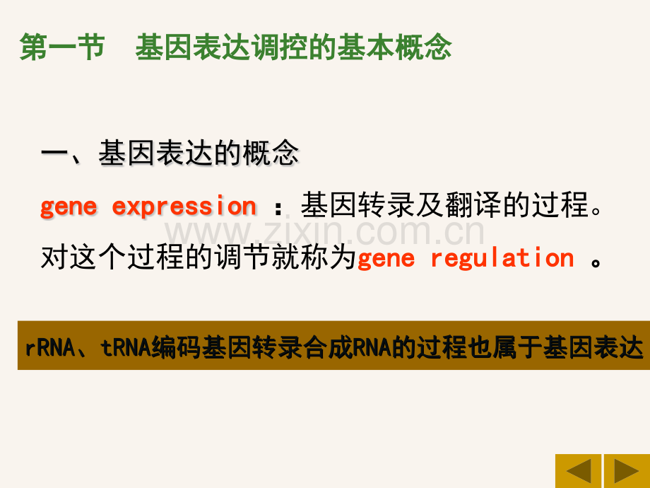 分子生物学4原核生物基因表达调控6课时.pptx_第3页