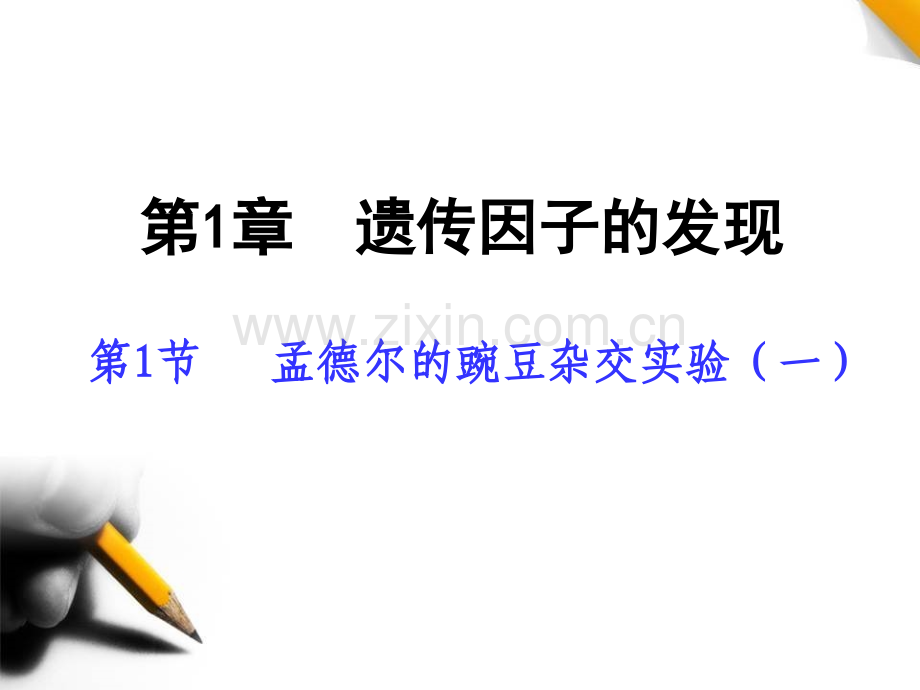 孟德尔的豌豆杂交实验一新课.pptx_第3页