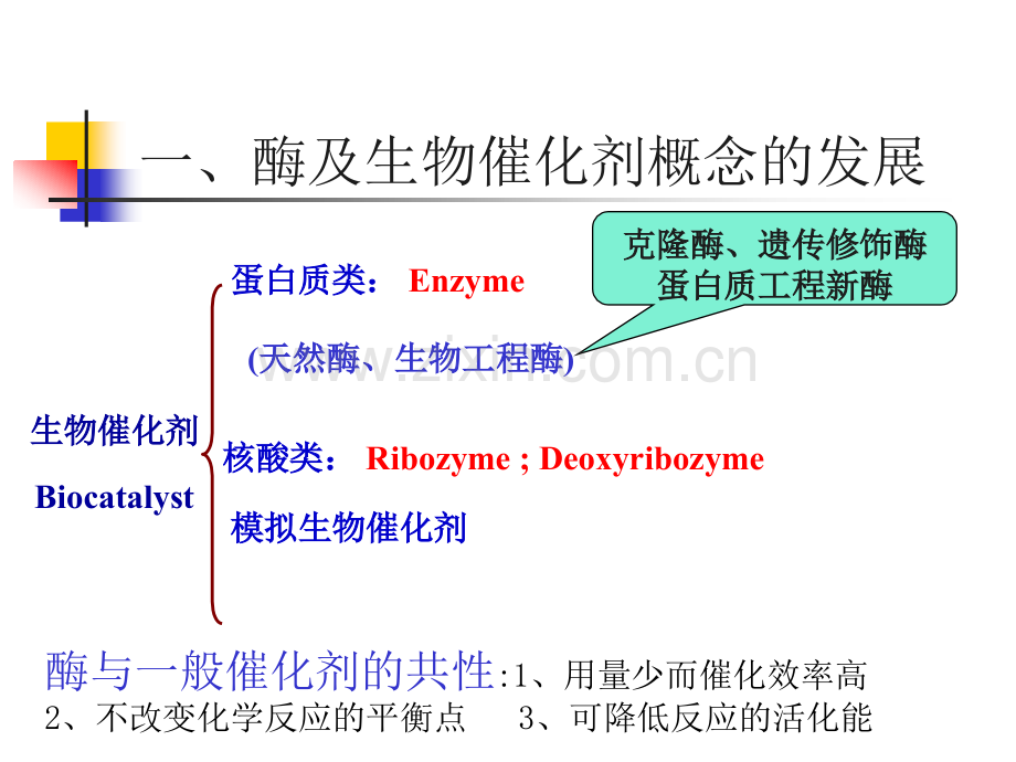 基础生物化学第4章.pptx_第3页