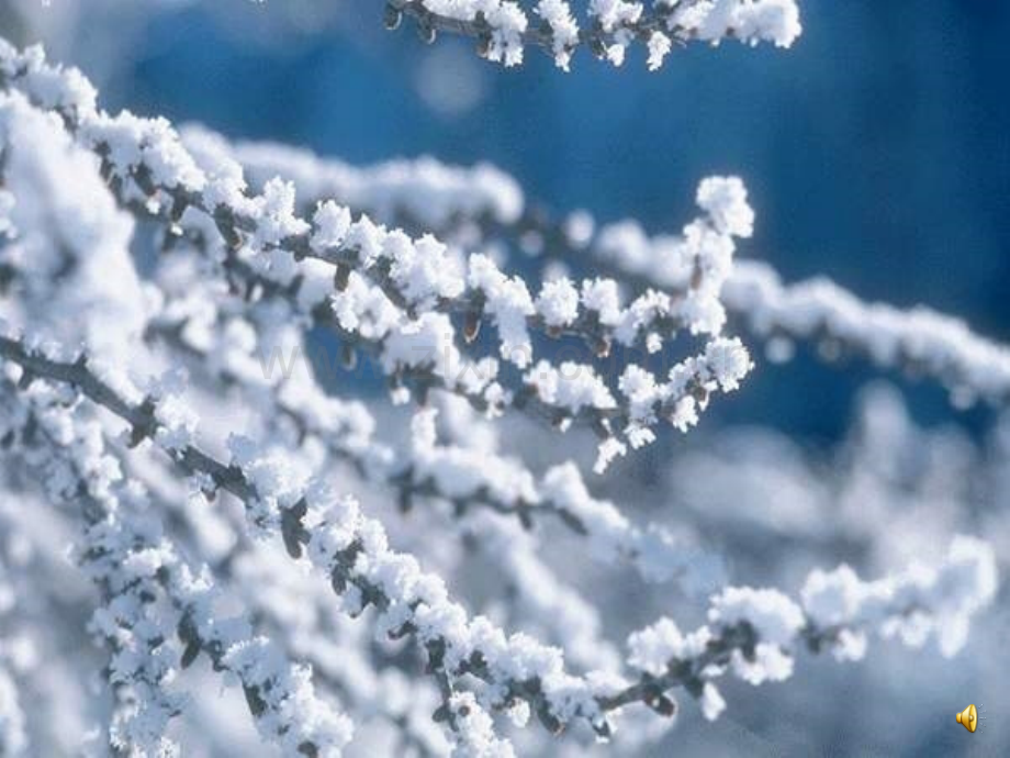 小学一年级雪地里的小画家.pptx_第1页