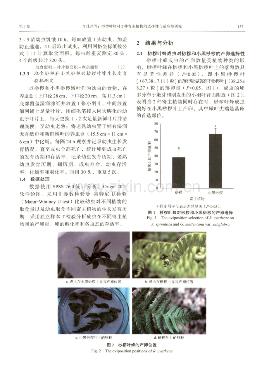 桫椤叶蜂对2种寄主植物的选择性与适应性研究.pdf_第3页