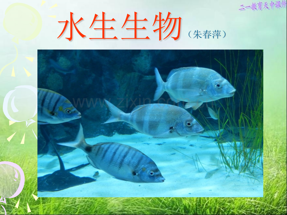 华东师大版科学七年级上册11艳丽多姿的生物水生生物共40张.pptx_第1页