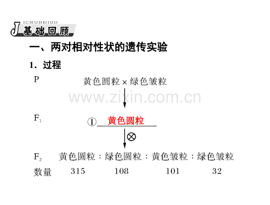 孟德尔的豌豆杂交实验复习课二.pptx_第1页