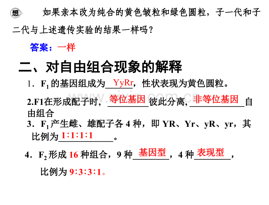 孟德尔的豌豆杂交实验复习课二.pptx_第3页