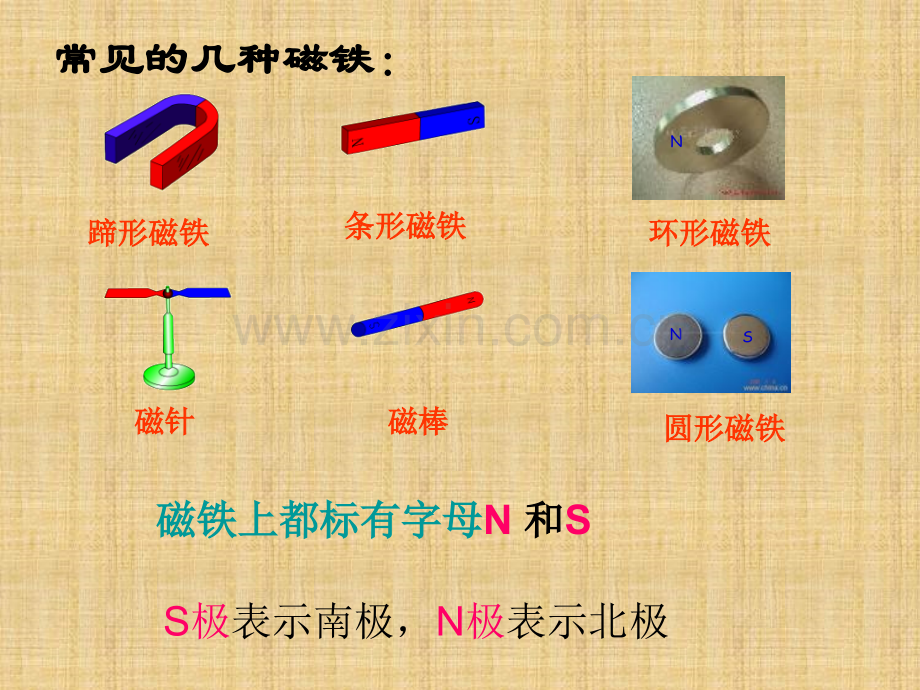 小学三年级科学有趣磁铁.pptx_第2页