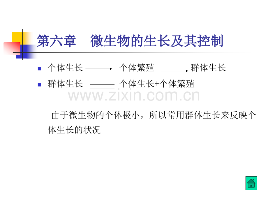 微生物的生长及其控制2013.pptx_第1页