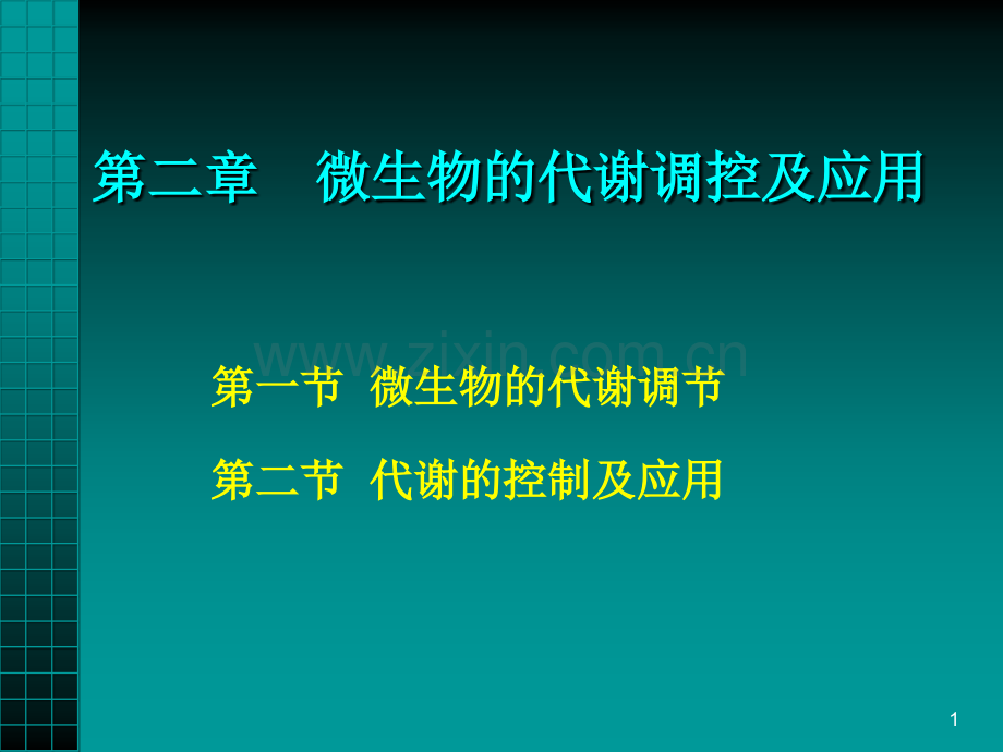 微生物的代谢调节及控制应用.pptx_第1页