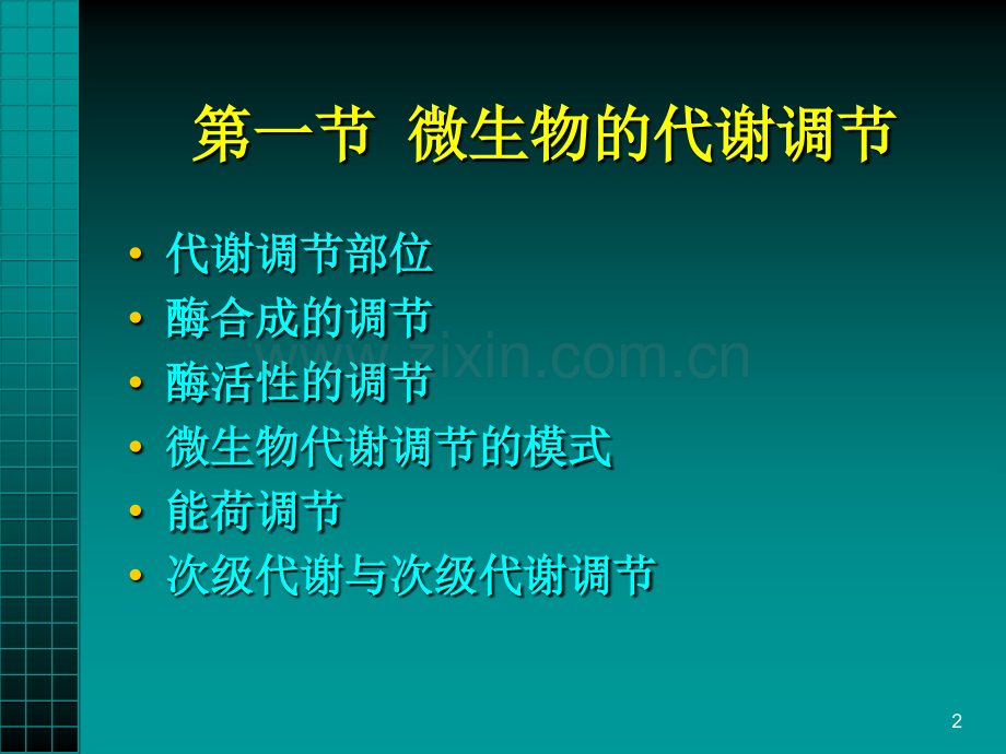 微生物的代谢调节及控制应用.pptx_第2页