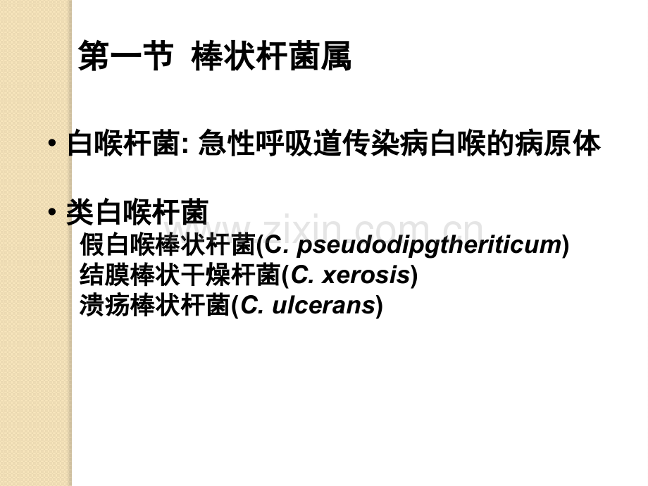 其他细菌素材.pptx_第2页