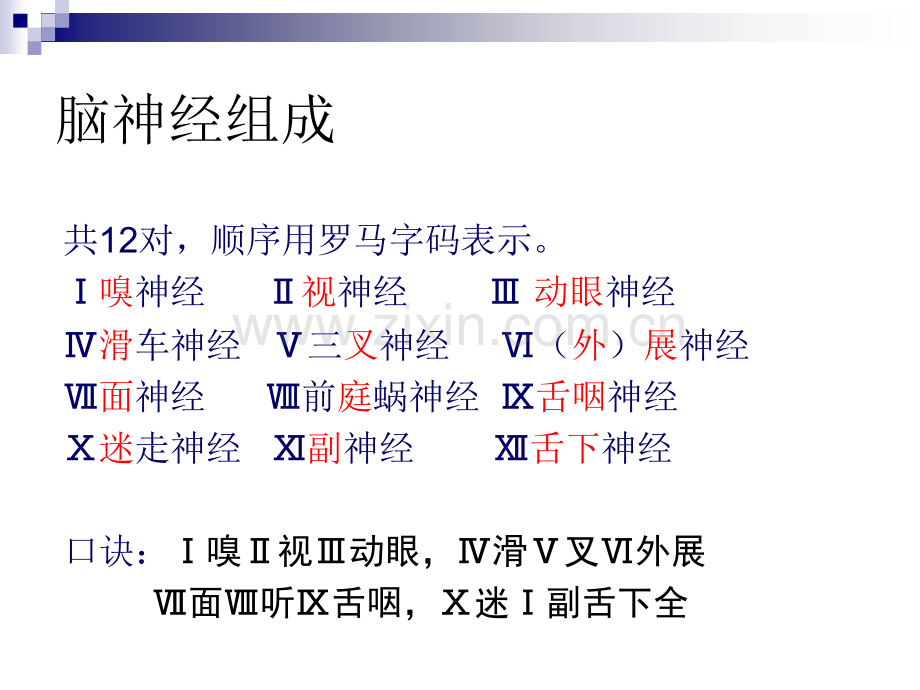 十二对颅神经检查.pptx_第3页