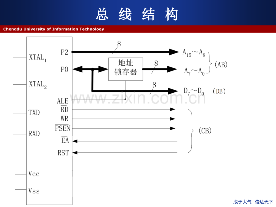 单片机系统总线及扩展.pptx_第2页