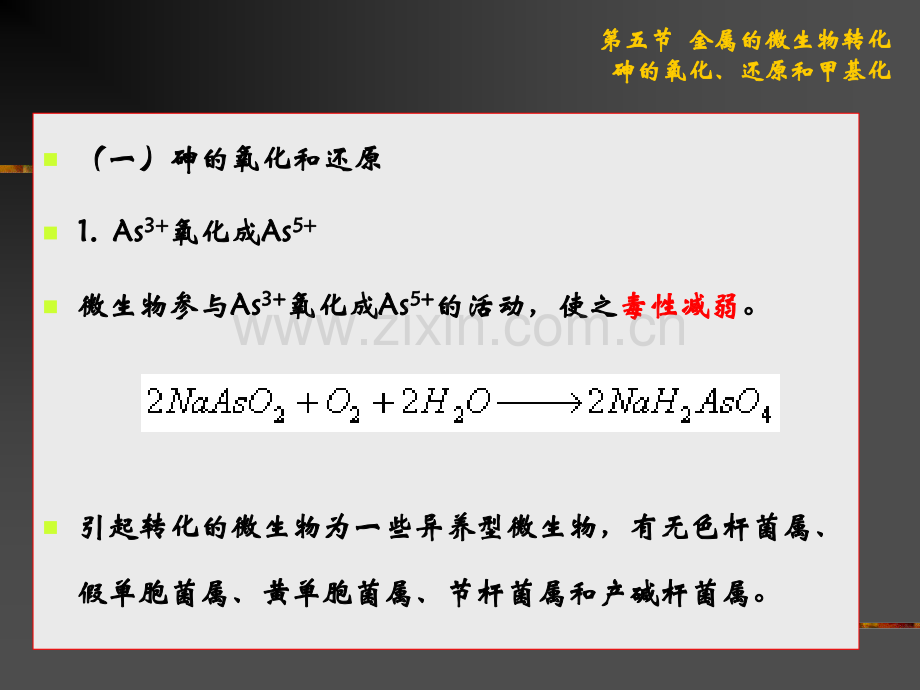 微生物对污染物质的降解.pptx_第2页