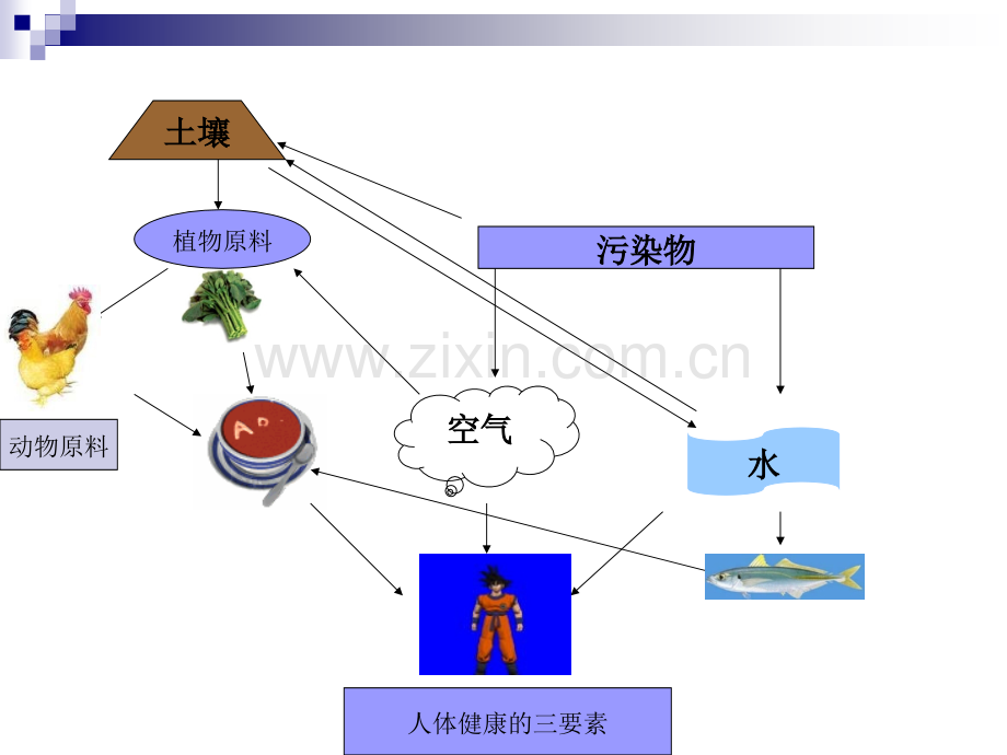 化学性污染及其预防.pptx_第3页