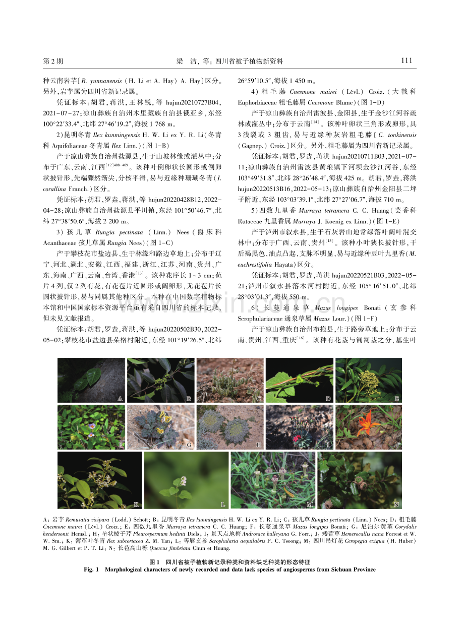 四川省被子植物新资料.pdf_第2页