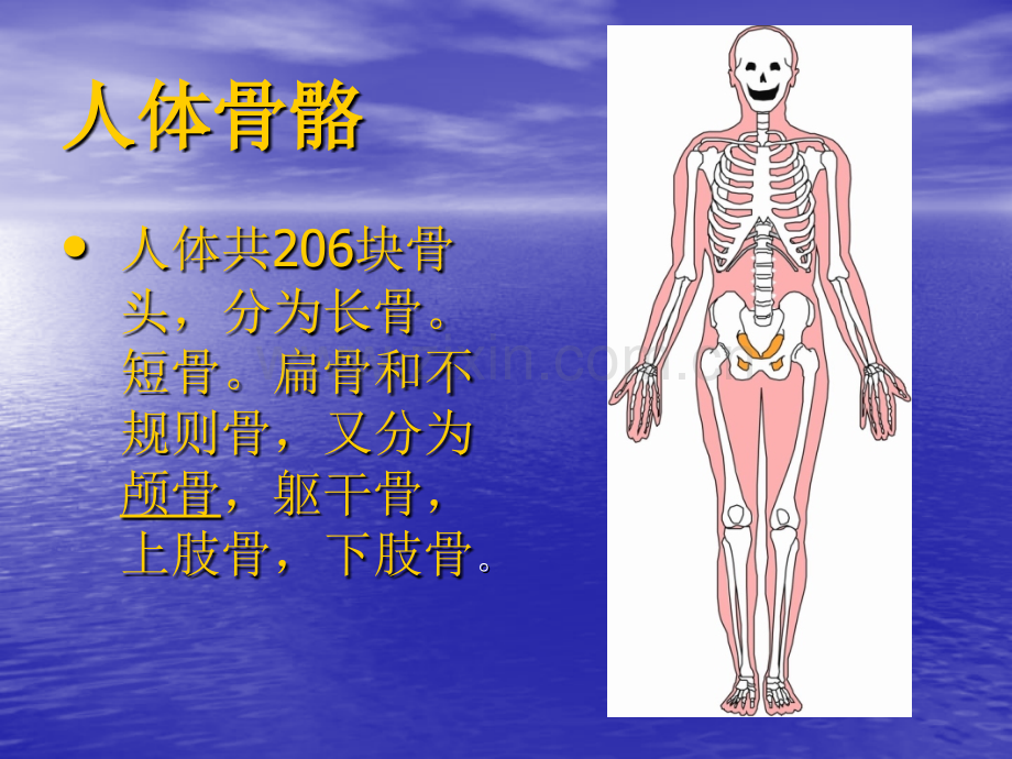 医学急救常识.pptx_第3页