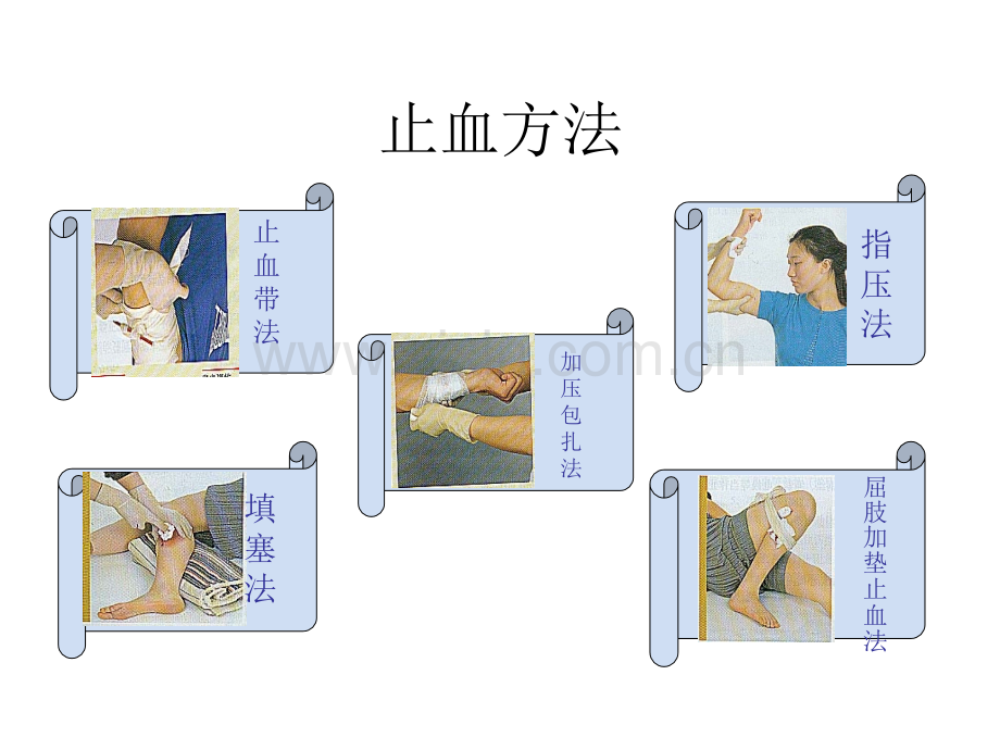 创伤救护基本技术.pptx_第1页