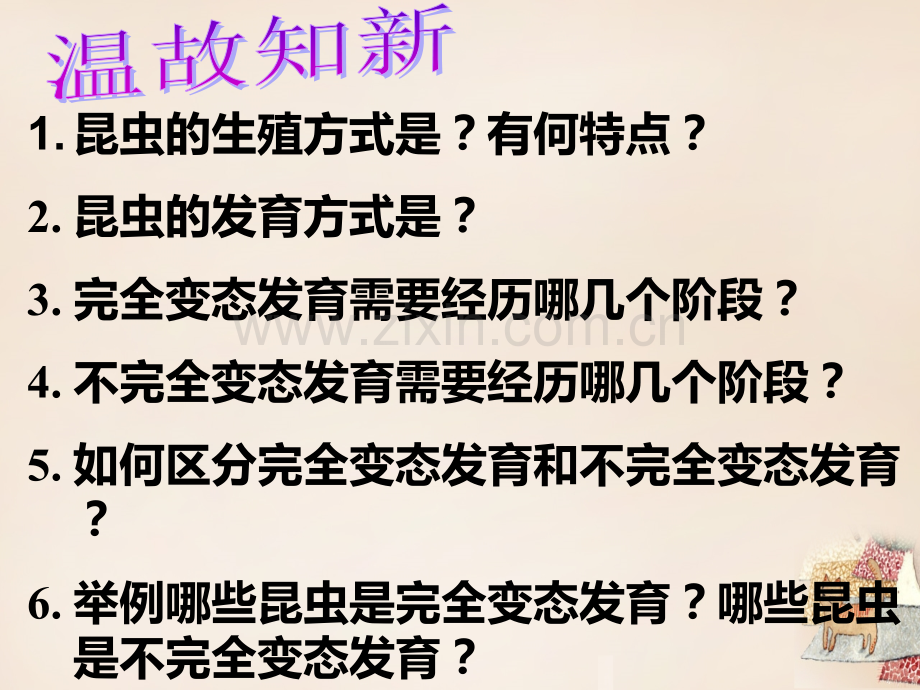 八年级生物下册-713-两栖动物生殖和发育2-新版新人教版.pptx_第1页