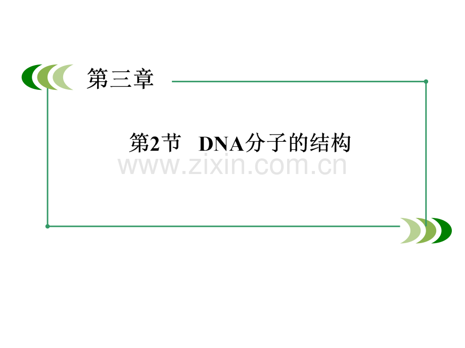 成才之路2014高一生物人教版必修232DNA分子的结构.pptx_第2页