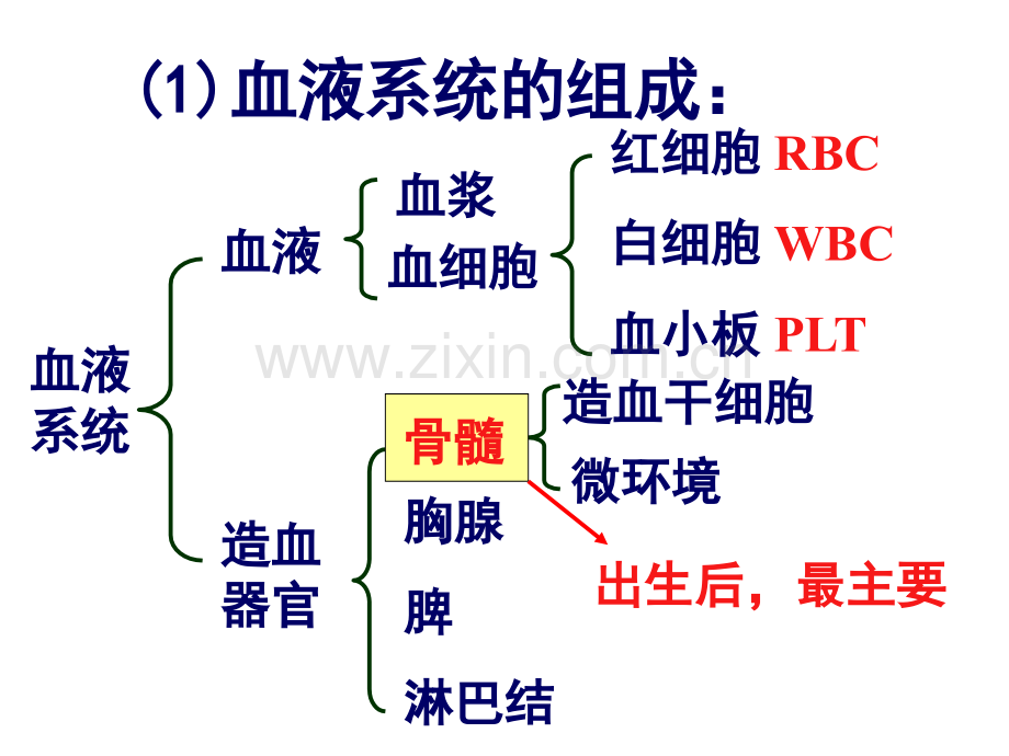 内科护理学血液常见症状护理.pptx_第3页