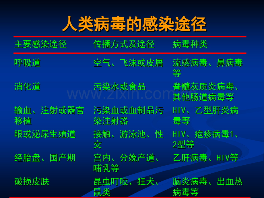 医学微生物学第章病毒的感染与免疫.pptx_第2页