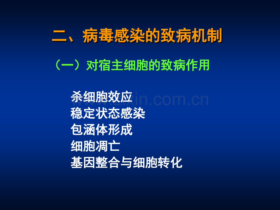 医学微生物学第章病毒的感染与免疫.pptx_第3页