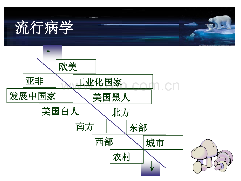 内科护理原发性高血压病人的护理.pptx_第2页