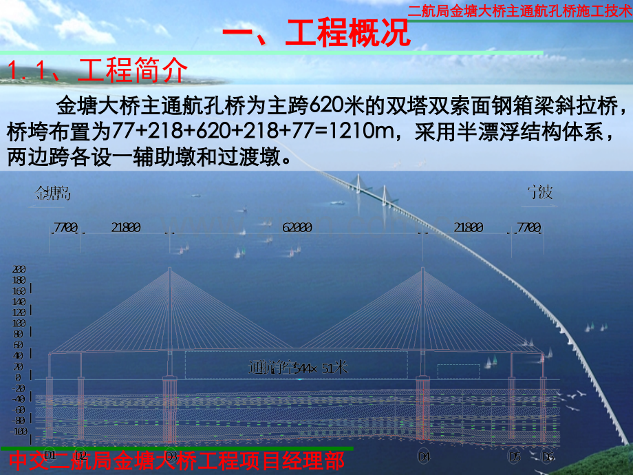 海上大跨径斜拉桥施工技术200810.pptx_第2页