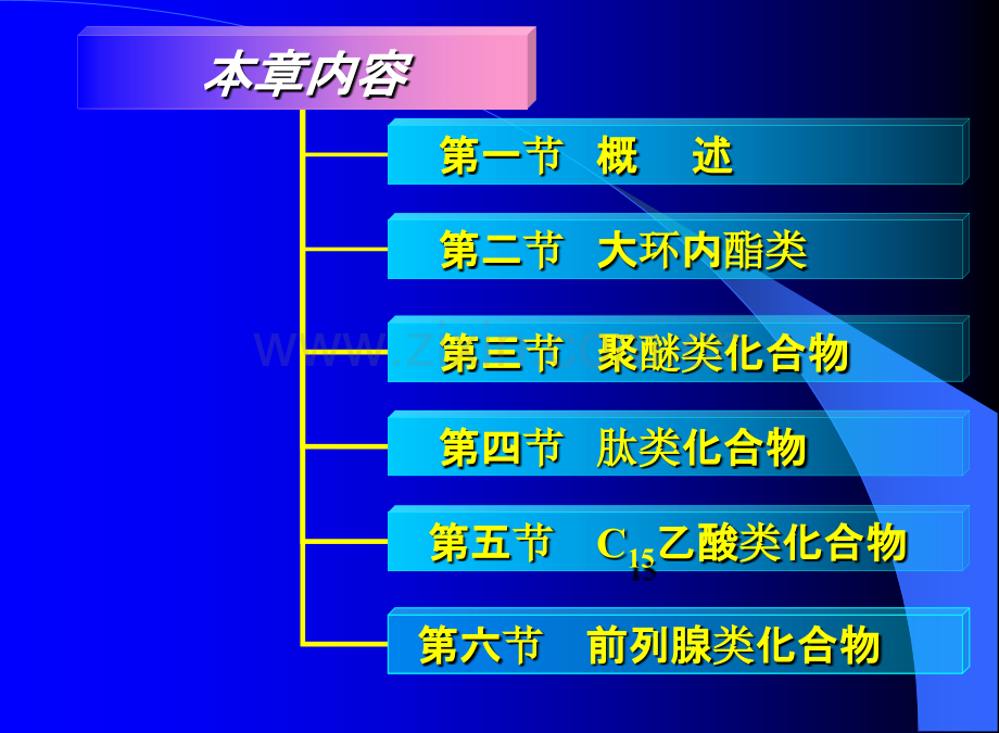 天然产物化学.pptx_第2页