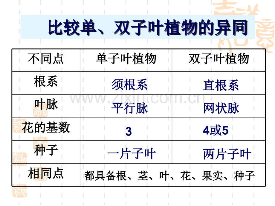 冀教版七上生物我国珍稀植物.pptx_第1页