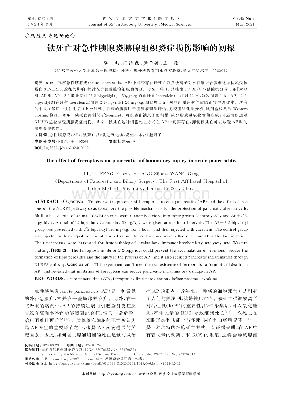 铁死亡对急性胰腺炎胰腺组织炎症损伤影响的初探.pdf_第1页