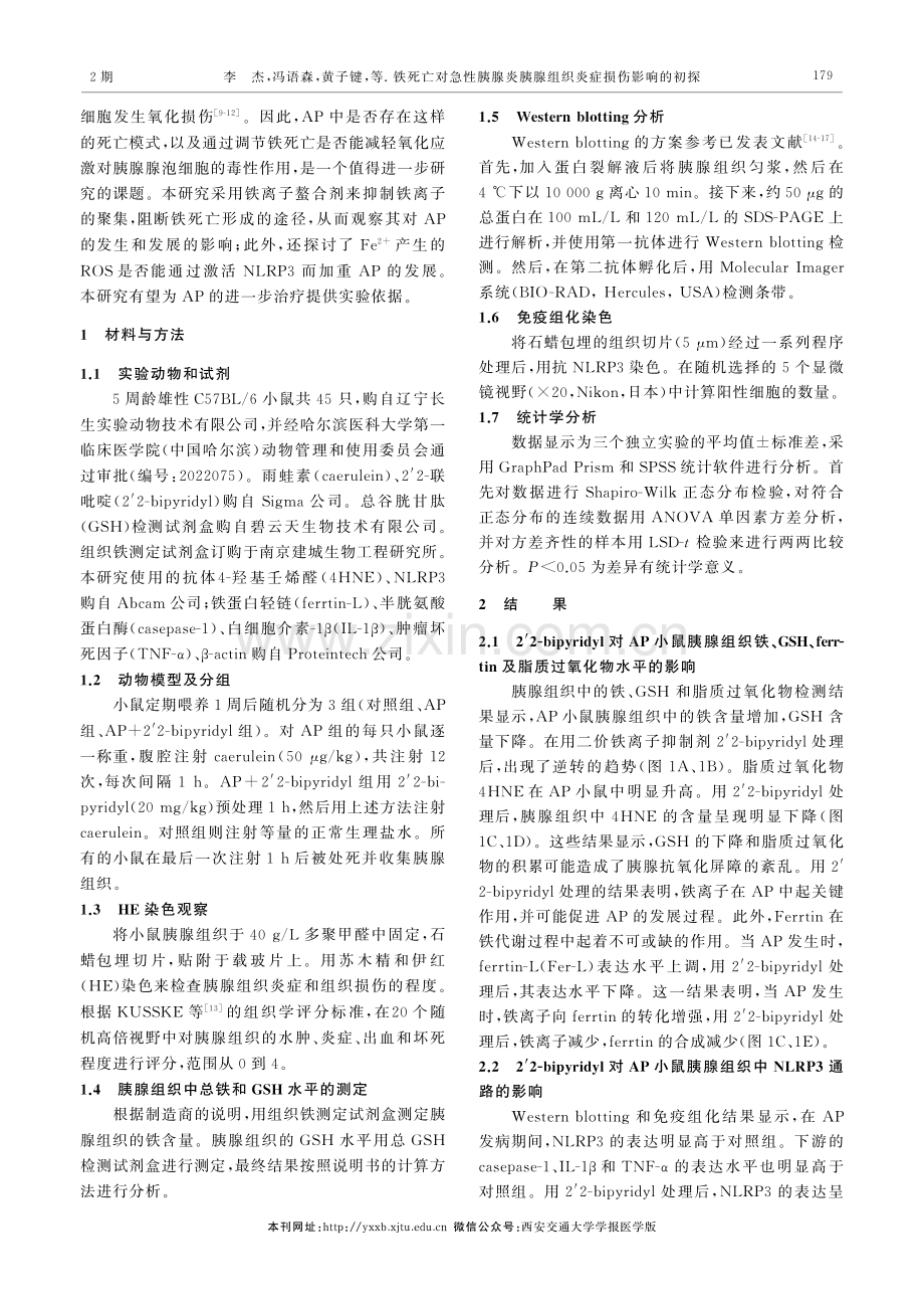 铁死亡对急性胰腺炎胰腺组织炎症损伤影响的初探.pdf_第2页