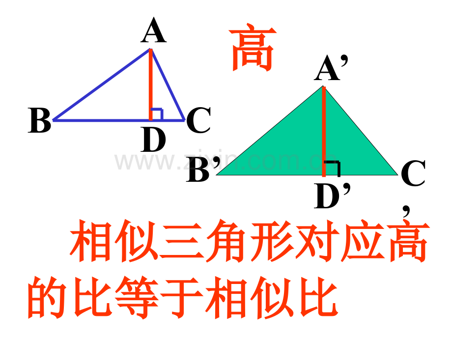 初中数学八年级下册48相似多边形性质.pptx_第2页