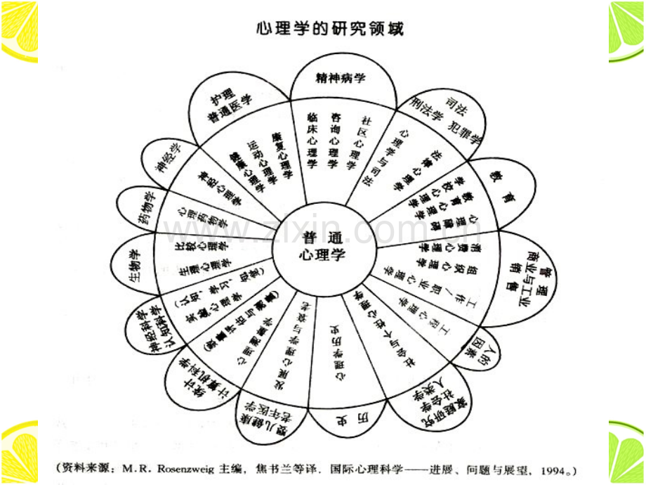 基础心理学下载.pptx_第2页