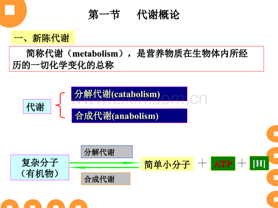 微生物的代谢工业微生物学课件.pptx_第3页