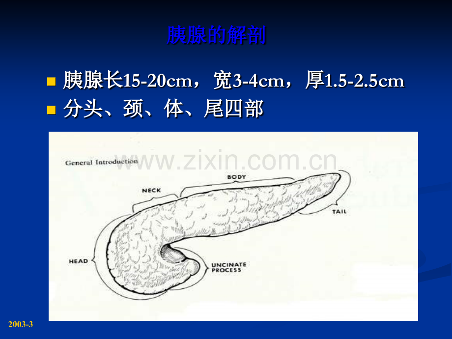 医学胰腺疾病浙江大学附属医院.pptx_第3页