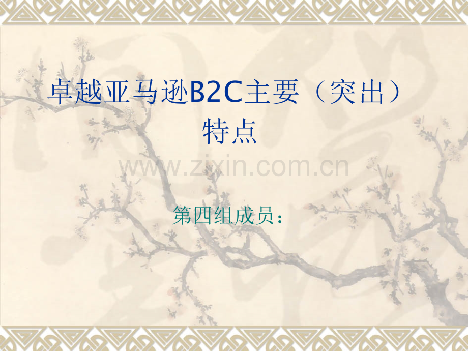 卓越亚马逊B2C主要突出特点.pptx_第1页