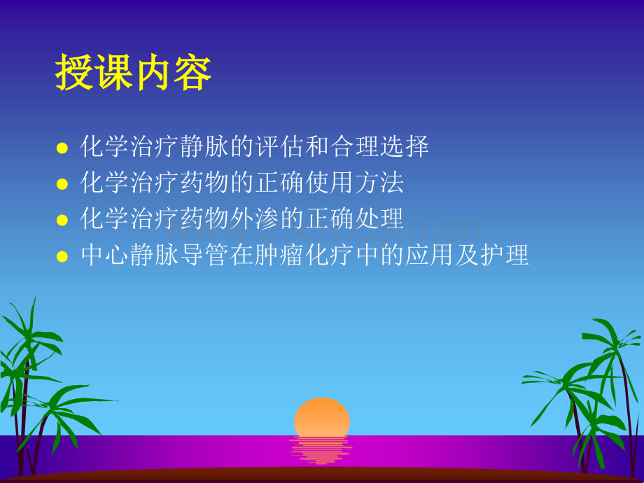 化学治疗静脉的管.pptx_第2页