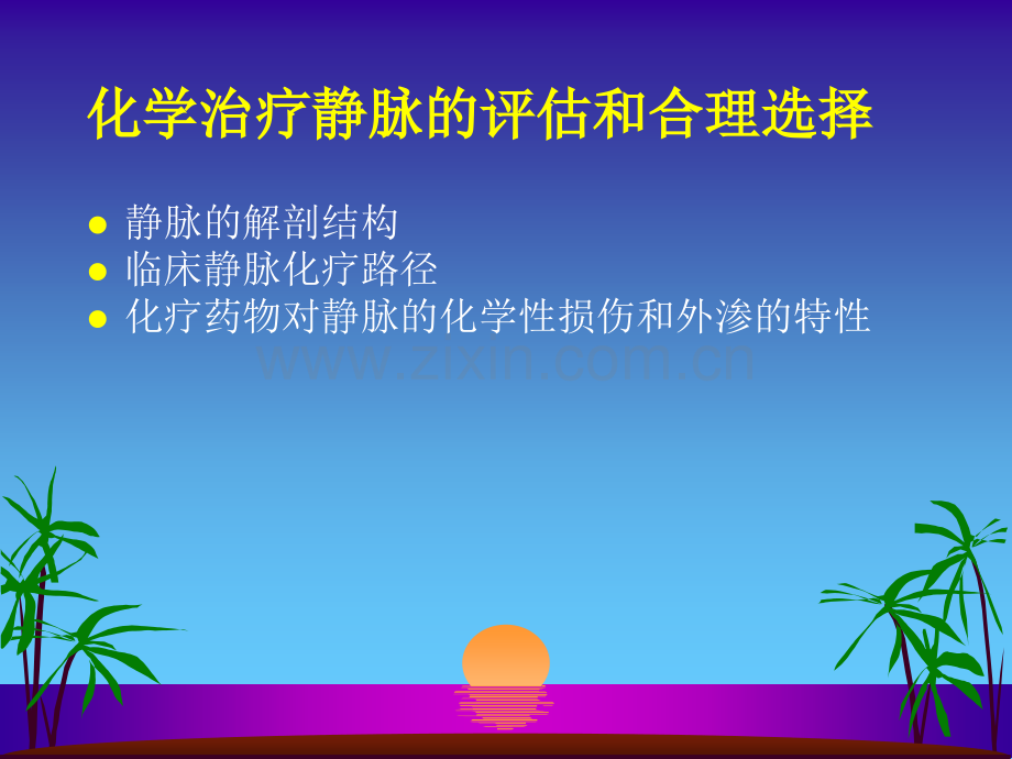 化学治疗静脉的管.pptx_第3页