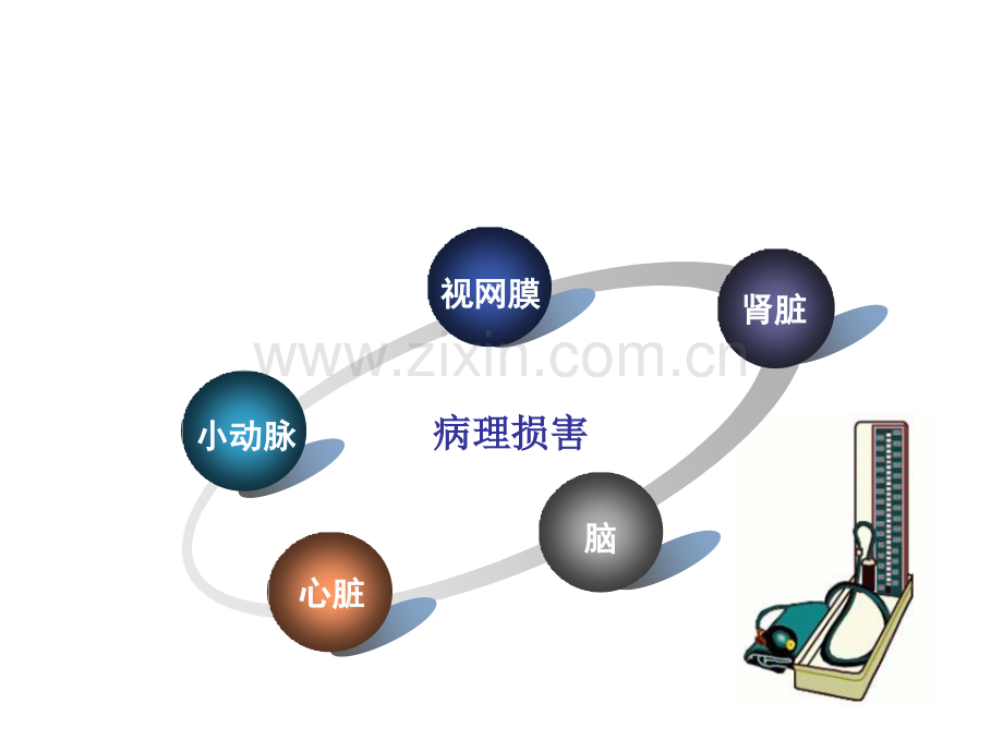 利尿剂湖南中西医结合学会.pptx_第2页