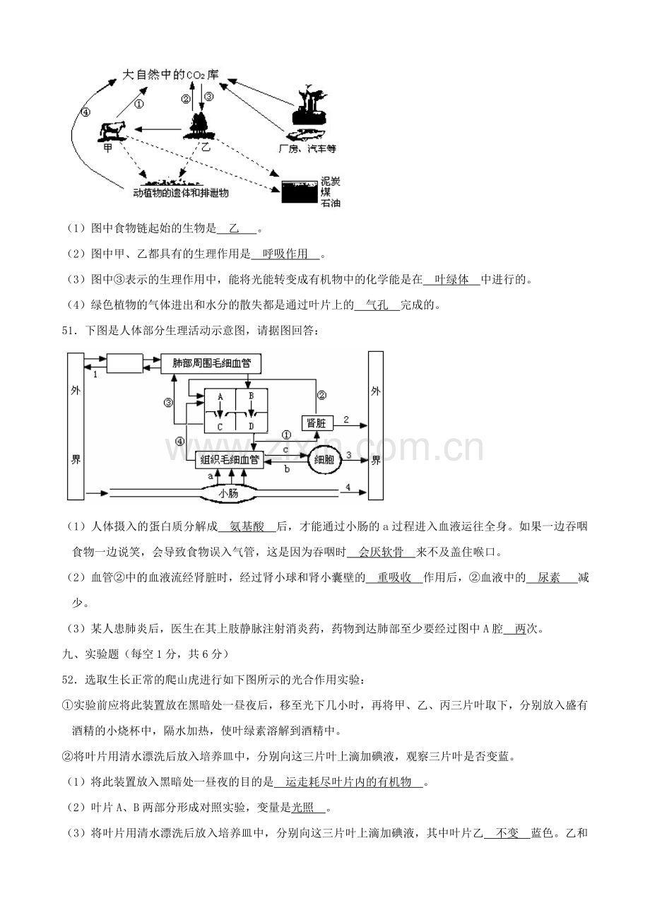 初中生物学业水平模拟考试28.doc_第2页