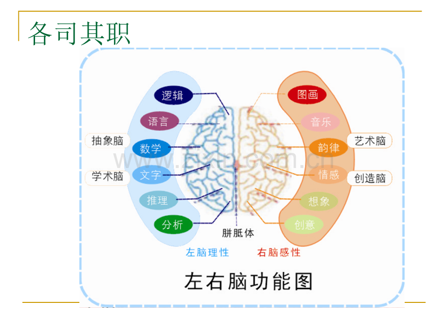 初中思维导图简介.pptx_第3页