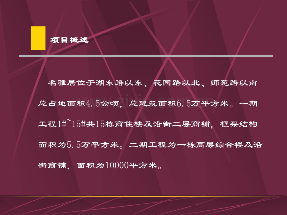 房地产策划名雅居商业街销售推广策略包装建议.pptx_第3页