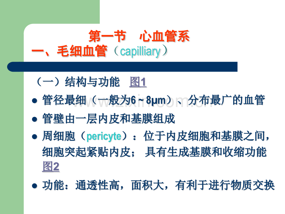 循环系统医学医药.pptx_第2页