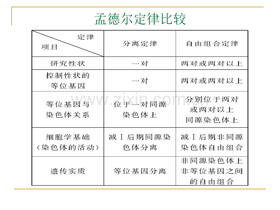 孟德尔遗传定律习题.pptx_第2页