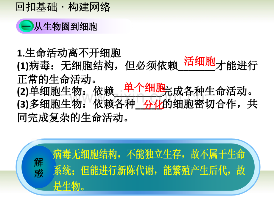 新人教版必修1一轮复习.pptx_第3页